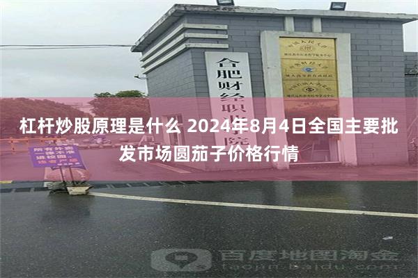 杠杆炒股原理是什么 2024年8月4日全国主要批发市场圆茄子价格行情