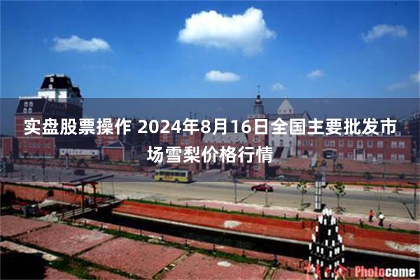 实盘股票操作 2024年8月16日全国主要批发市场雪梨价格行情