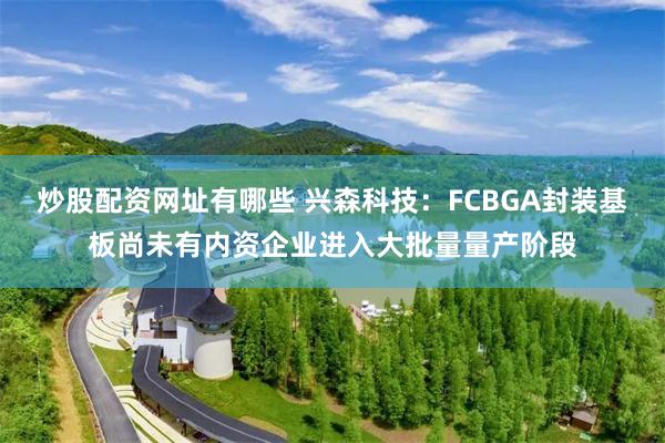 炒股配资网址有哪些 兴森科技：FCBGA封装基板尚未有内资企业进入大批量量产阶段