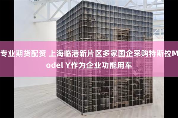 专业期货配资 上海临港新片区多家国企采购特斯拉Model Y作为企业功能用车