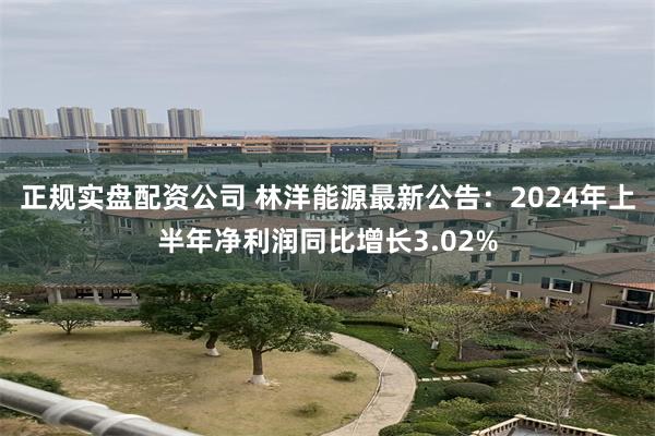 正规实盘配资公司 林洋能源最新公告：2024年上半年净利润同比增长3.02%