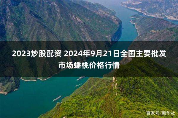 2023炒股配资 2024年9月21日全国主要批发市场蟠桃价格行情