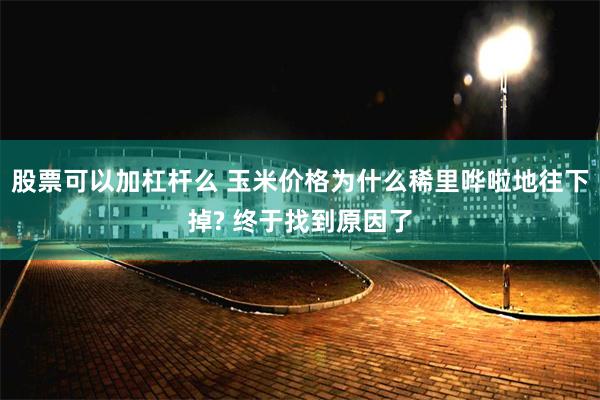 股票可以加杠杆么 玉米价格为什么稀里哗啦地往下掉? 终于找到原因了