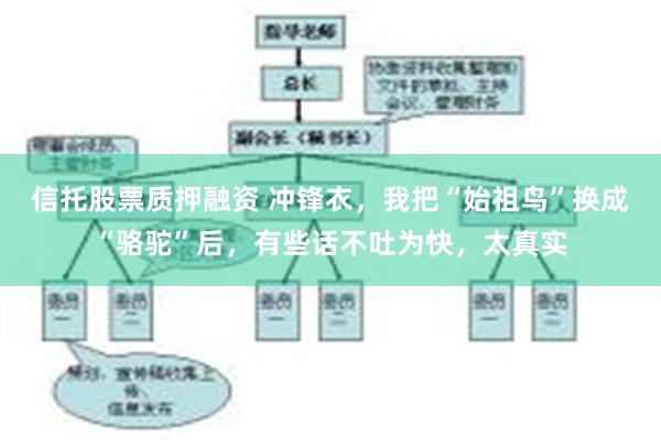 信托股票质押融资 冲锋衣，我把“始祖鸟”换成“骆驼”后，有些话不吐为快，太真实