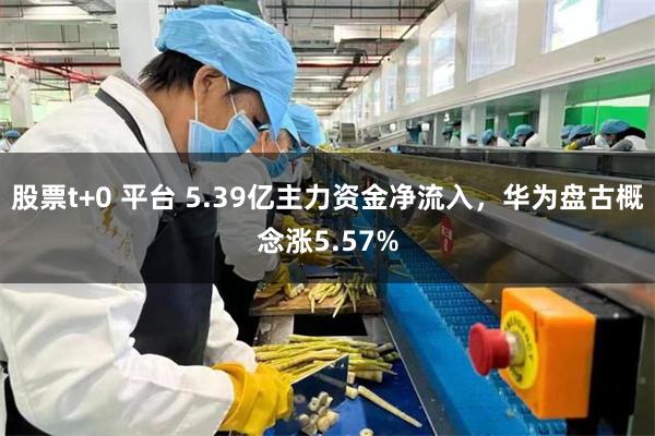 股票t+0 平台 5.39亿主力资金净流入，华为盘古概念涨5.57%