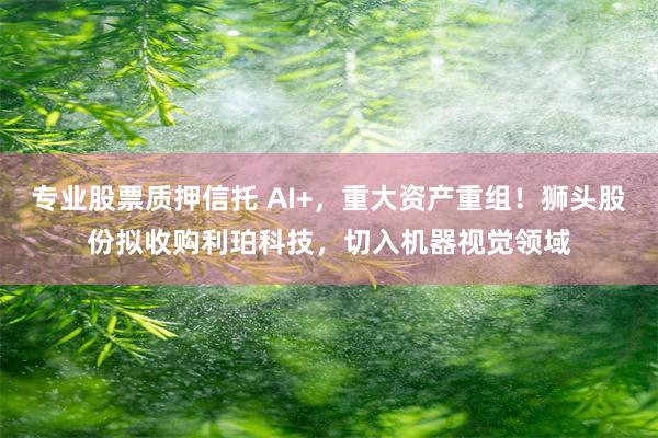 专业股票质押信托 AI+，重大资产重组！狮头股份拟收购利珀科技，切入机器视觉领域